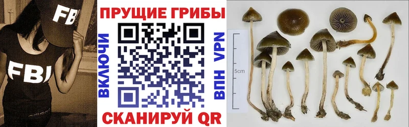 блэк спрут онион  наркотики  Новочебоксарск  Галлюциногенные грибы GOLDEN TEACHER 